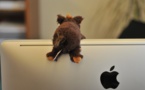 Apple's forecast disappoints investors