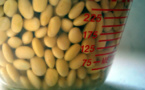 American farmers spur soybean prices
