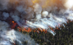 Climate change will cost US $ 500 billion a year