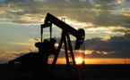 IEA: oil production will meet new demand in 2024