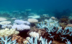 Ahead Of Australian Election, Environment Stands As A Major Concern To Voters