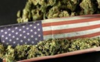 US Cannabis Market Would Reach $41 Billion By 2028 If Legalised Country-Wide: Barclays