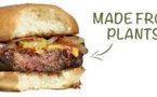 It Is Not Possible To Ignore The Growing Alternative Protein Industry