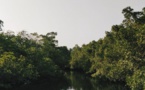 The Frontiers Of Climate Change Battle