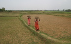 India is waiting for heavy rains to revive weak economy
