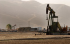 OPEC expects overproduction on global oil market