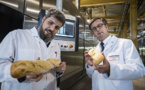 Mecatherm: the French industrial bakery to conquer the world through efficient, tailor-made installations
