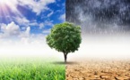 Insurers Call On World Governments To Earnestly Tackle Climate Change