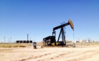 Experts assessed US senator Warren's threats to ban shale oil production