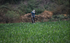 Study: Agriculture-dependent developing countries are more vulnerable to climate risks