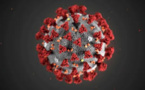 Long Way To Go For Coronavirus Vaccine, Say Drgumakers