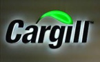 Agri-Giant Cargill Forays Into Plant-Based ‘Meat’ Business