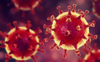 Calls To Trump To Cut China Tariffs Due To Economic Impact Of Coronavirus On US Businesses