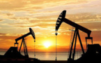 US Envoy To Work With Saudi Arabia As Oil Price Slump Hit American Oil Producers