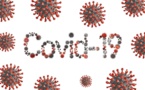 Coronavirus fake news: the parallel pandemic
