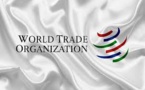 EU Trade Commissioner Hogan Could Put Himself Up As Candidate Of WTO Chief