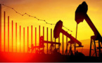 OPEC Considering For An Era Of Declining Global Oil Demand: Reports