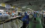 Profit of large Chinese industrial enterprises decreases by 8.1% in January-July 2020