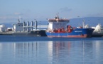 China buys record batch of US oil