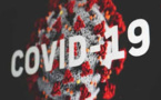 WHO Team In China Dismiss Covid-19 'Lab Leak' Theory