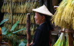 Bloomberg: TikTok boosts Chinese agriculture