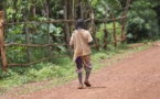 UN: Global hunger rises to its highest in 15 years