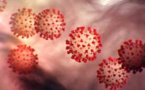 Covid-19 Pandemic Could Be Over In A Year, Says Moderna Chief Executive: Newspaper