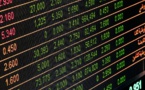 Experts: Major emerging economies keep tightening screws