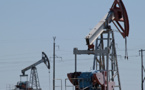 Producers note Asia's switch to petroleum-based fuels