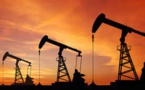 With Oil Racing Toward $100, India, US And Japan Tell OPEC+ Enough Is Enough