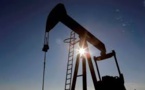 US Convinces Other Oil Importers To Release Oil Reserves To Challenge OPEC+