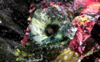 The Art Market Day 2021: Energy-Guzzling NFTs vs. Market Ecology