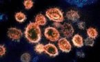 Reinfection Chances More With Omicron Variant And Its Not Milder Either Claims New Study In UK