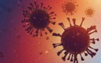 Study Shows Covid-19 Could Lower Sperm Count, Motility