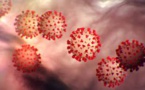 Danish Study Concludes Omicron Able To Bypass Immunity More Than Delta