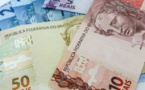 IMF warns developing countries of currency devaluations risk