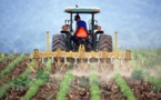 EU approves €500 million support for farmers