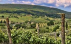 100,000 farms in Italy may close due to pandemic and situation in Ukraine