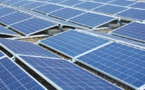 IMF sees no need to curtail energy transition because of crisis