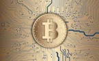 Bitcoin Likely To Witness Record Losing Streak As Crypto Market Severely Impacted By 'Stablecoin' Collapse