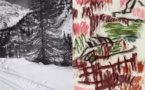 Art Market Overview: The Rise of Günther Förg