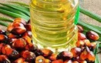 Resumption Of Palm Oil Exports In Indonesia Hampered By Policy Uncertainty