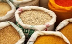 Egypt terminates contracts for 240 thousand tons of Ukrainian wheat