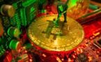 Bitcoin Miners Become Trapped In A Bear Pit In The Cryptoverse