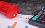 USA to put 15 million barrels of oil from the strategic reserve on sale