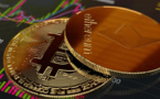 Bloomberg forecasts bankruptcy for Genesis crypto broker