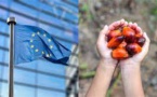 Malaysia Stated It May Suspend Exporting Palm Oil To The EU As A Result Of New Restrictions
