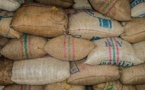 UN helps EU countries to redistribute surplus Ukrainian grain
