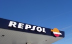 Repsol to sell almost half of shares in Spanish RES projects
