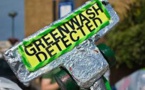 EU Watchdogs Notice Greenwashing Throughout The Whole Financial Sector Of The Union